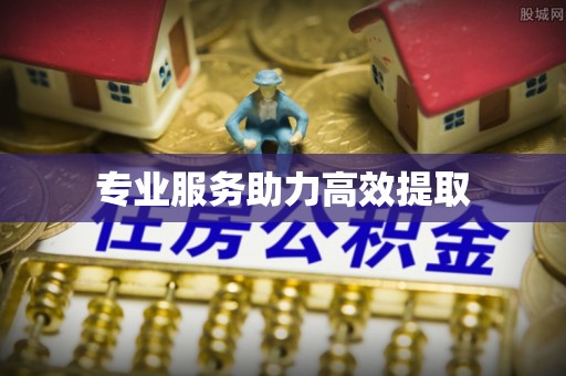 那玛夏专业服务助力高效提取