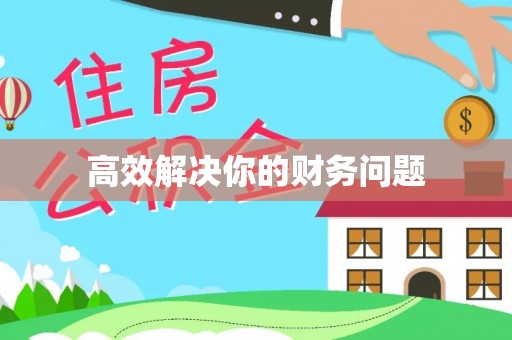 那玛夏高效解决你的财务问题
