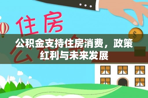 那玛夏公积金支持住房消费，政策红利与未来发展
