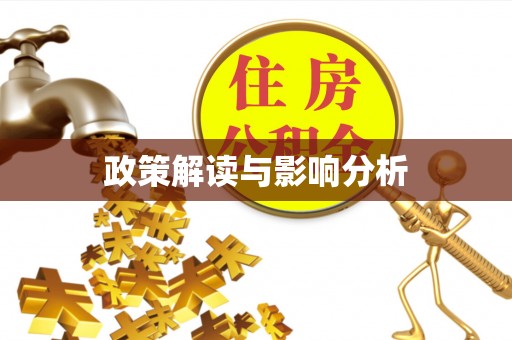那玛夏政策解读与影响分析