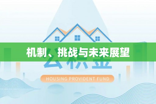 那玛夏机制、挑战与未来展望