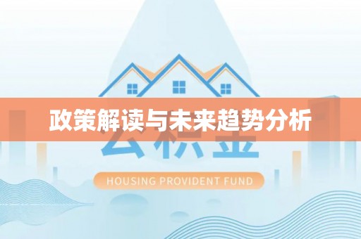 那玛夏政策解读与未来趋势分析