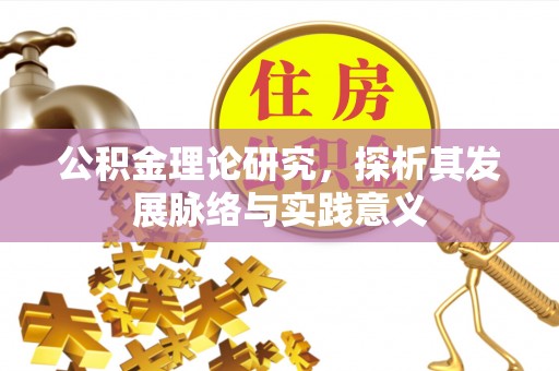 那玛夏公积金理论研究，探析其发展脉络与实践意义