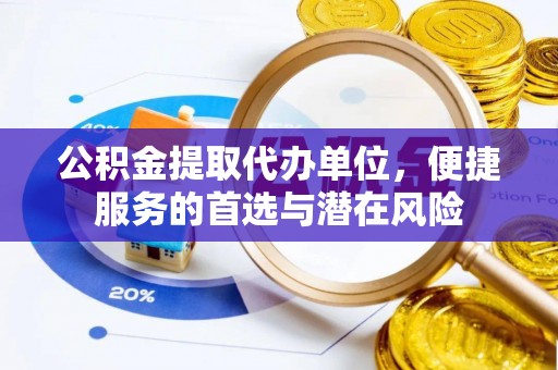 那玛夏公积金提取代办单位，便捷服务的首选与潜在风险