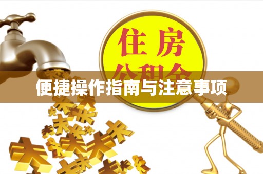 那玛夏便捷操作指南与注意事项