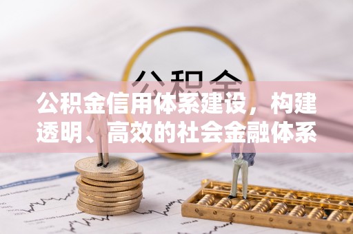 那玛夏公积金信用体系建设，构建透明、高效的社会金融体系