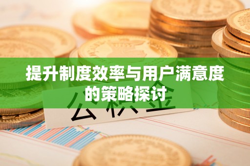 那玛夏提升制度效率与用户满意度的策略探讨