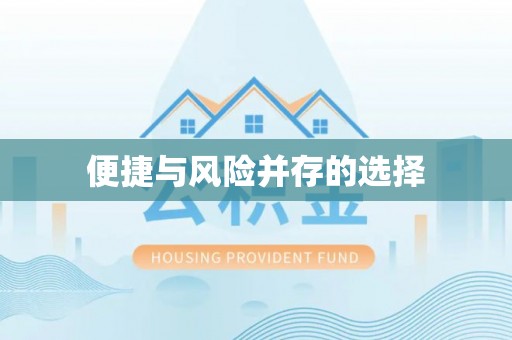 那玛夏便捷与风险并存的选择