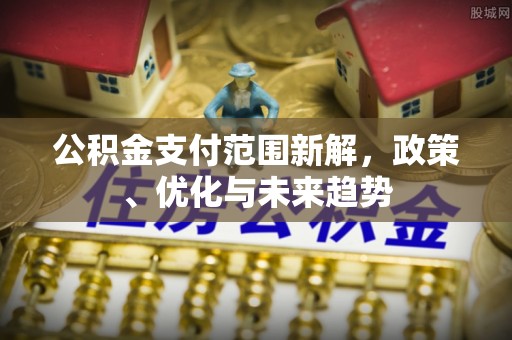 那玛夏公积金支付范围新解，政策、优化与未来趋势