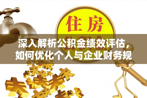 那玛夏深入解析公积金绩效评估，如何优化个人与企业财务规划